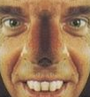 van zantenetnaz nav